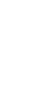 素材を贅沢に味わうイタリア料理